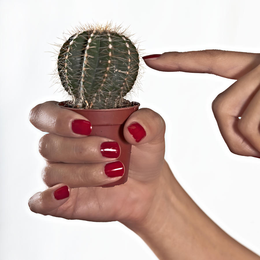 Finger Photograph - Cactus #2 by Joana Kruse