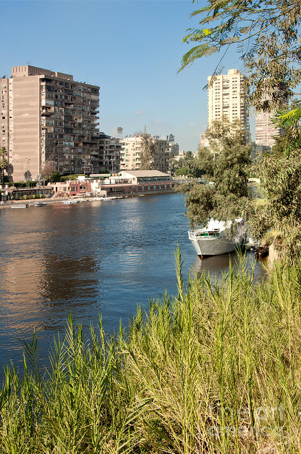 Cairo City Streets #2 Digital Art by Carol Ailles