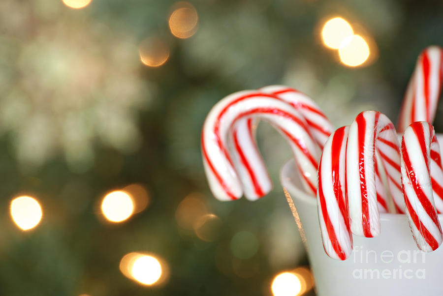 Candy Canes #2 Photograph by HD Connelly