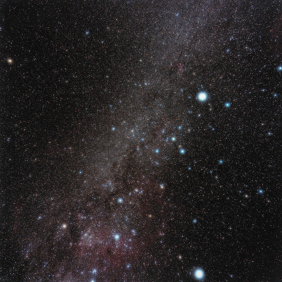 Canis Major Constellation #2 Photograph by Eckhard Slawik