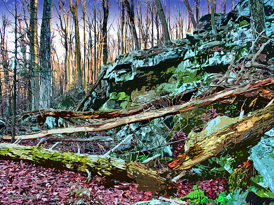 Catoctin Rock #2 Digital Art by Stephen Younts