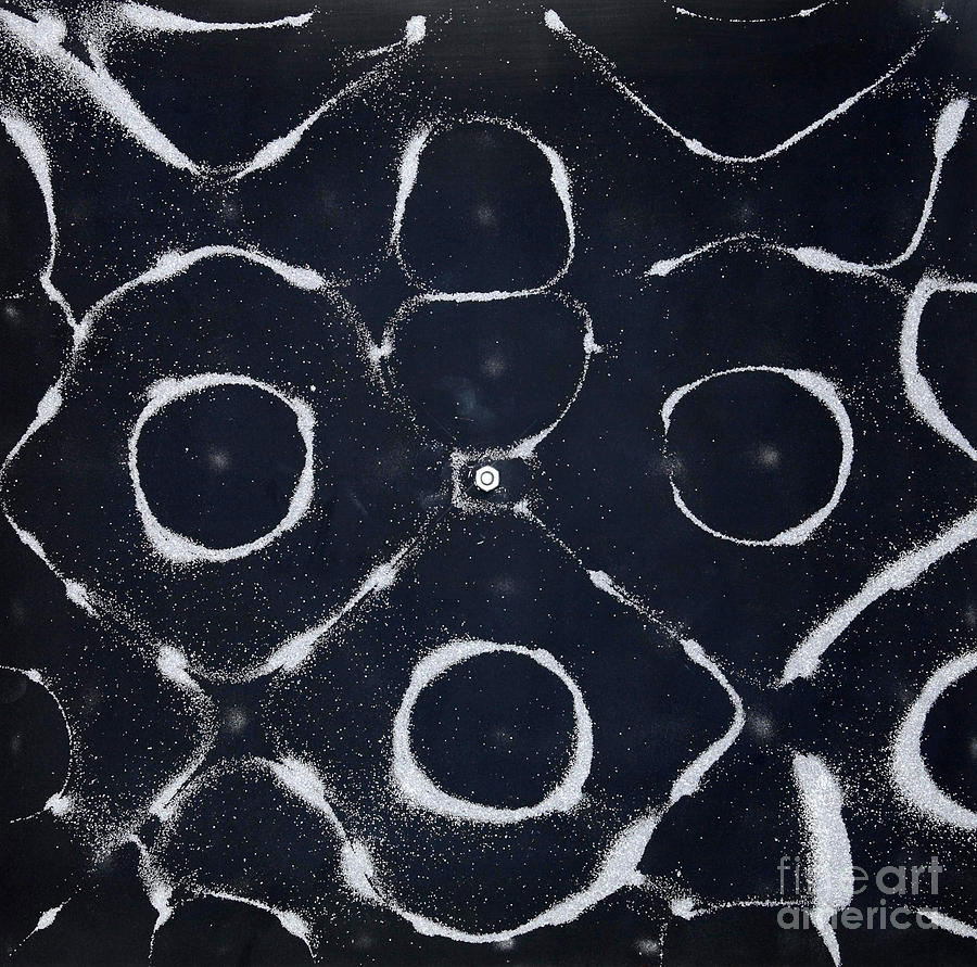 Chladni Oscillations On Metal Plate #2 Photograph by Ted Kinsman