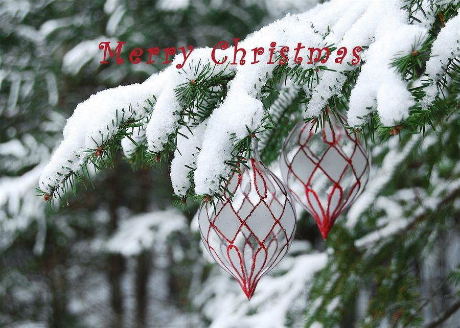 Christmas Photograph - Christmas card 2194 #2 by Michael Peychich
