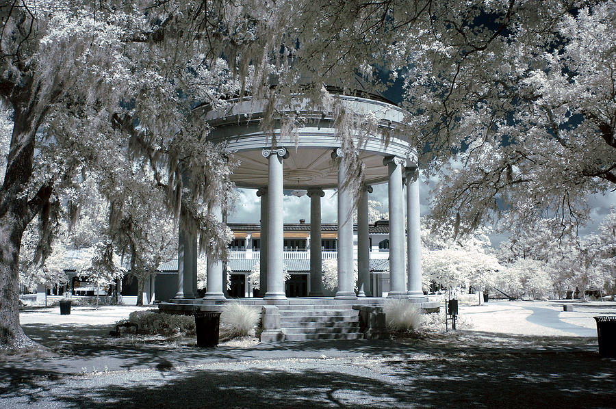 City Park New Orleans Photograph by Ellis C Baldwin