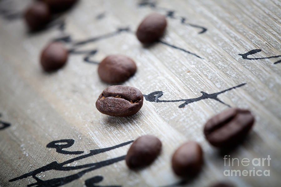 Coffee beans #2 Photograph by Kati Finell