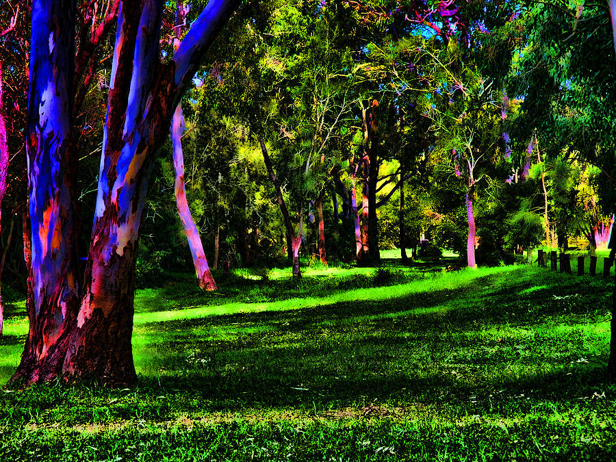Colourful parkland #2 Digital Art by Fran Woods