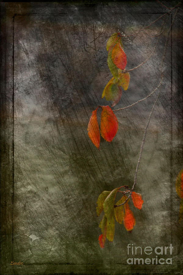 Colours of Autumn #2 Photograph by Eena Bo