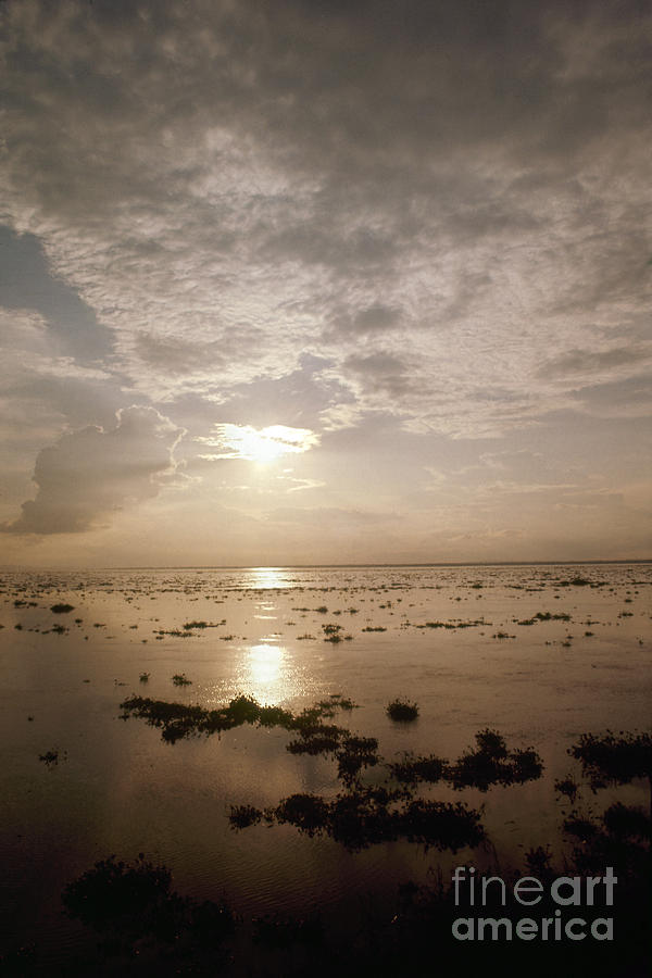 Congo: Congo River #2 Photograph by Granger