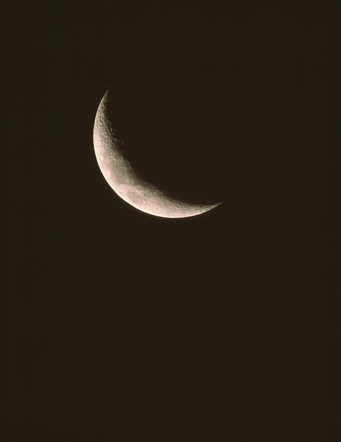 Crescent Moon #2 Photograph by David Nunuk