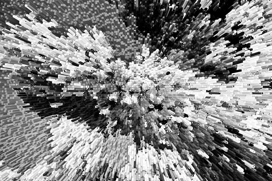 Crystal flowers #2 Digital Art by David Pyatt