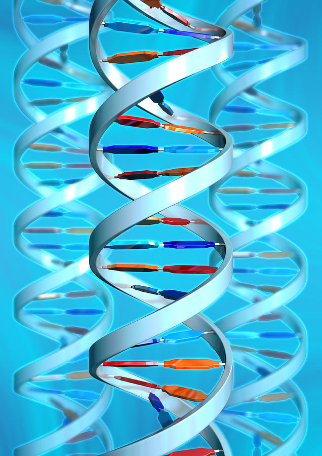 Sssr dna. Helix DNA. Оранжевое ДНК. Н 1 super DNA. DNA Helix Art Иран Тегеран.