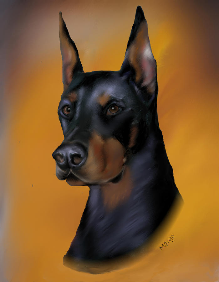 Doberman Portrait by Margo Clark