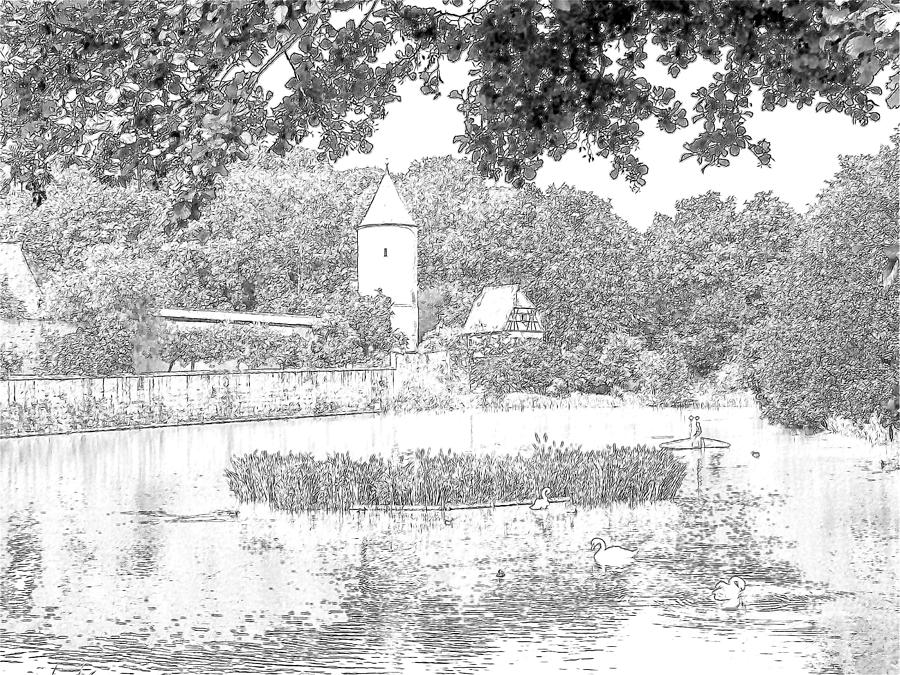 Duck Pond Dinkelsbuhl Germany #2 Photograph by Joseph Hendrix