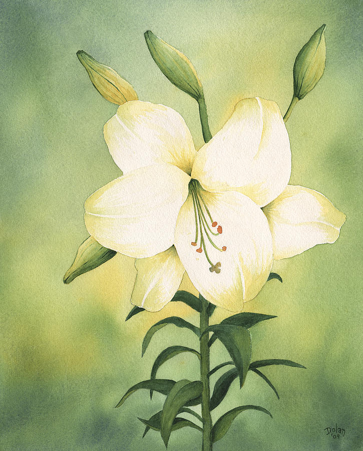 Easter Lily Painting By Greg Dolan   2 Easter Lily Greg Dolan 