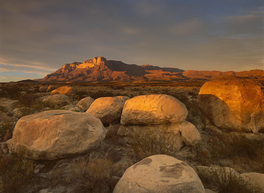 El Capitan Guadalupe Mountains National #2 Photograph by Tim Fitzharris