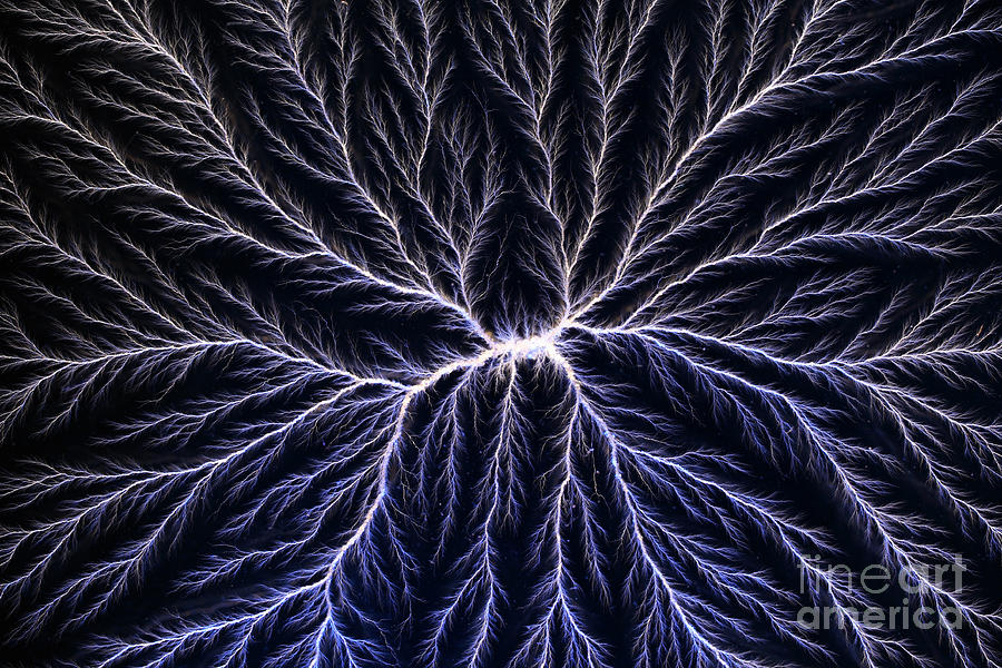 Electrical Discharge Lichtenberg Figure #8 Photograph by Ted Kinsman