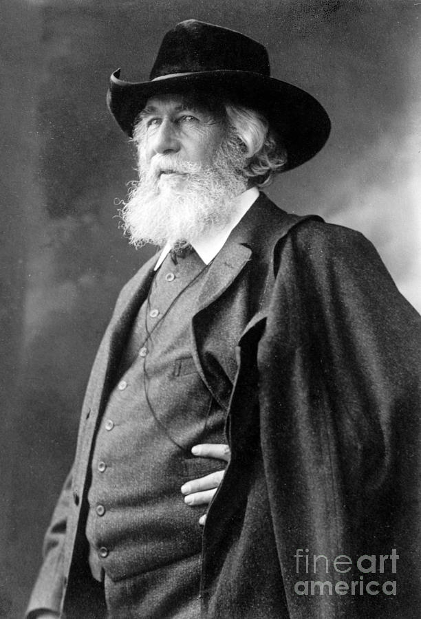 Ernst Haeckel, German Biologist #2 Photograph by Science Source