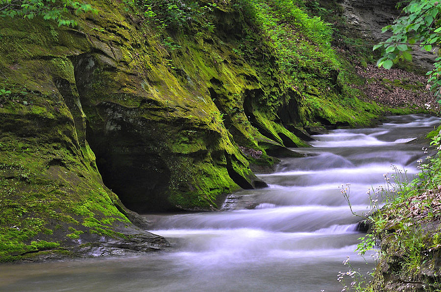 Nature Reserves In Indiana