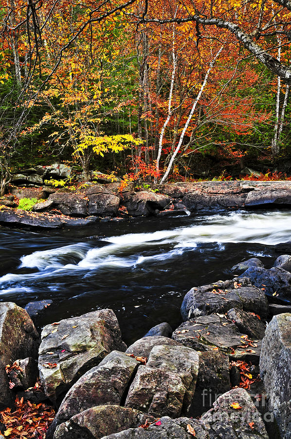 Fall forest and river landscape 3 Photograph by Elena Elisseeva