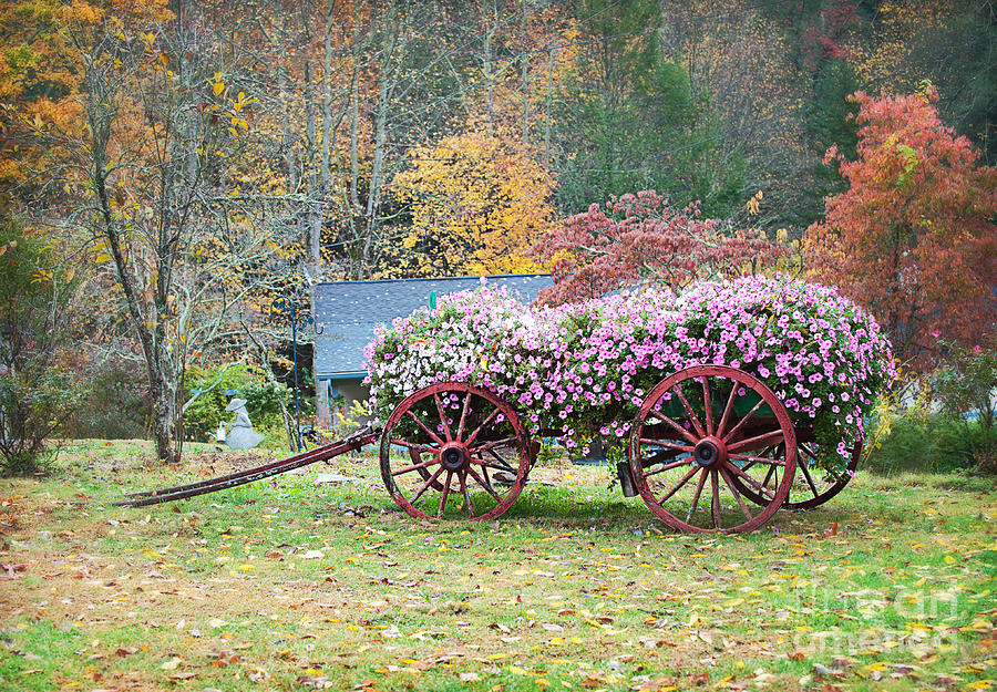 fall-in-north-carolina-photograph-by-anne-kitzman-pixels