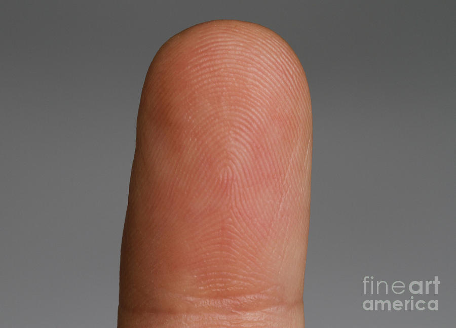Fingertip Showing Fingerprint Ridges #2 Photograph by Photo Researchers, Inc.