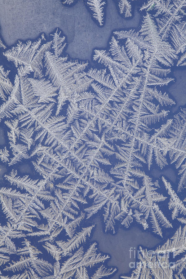 Pattern Photograph - Frost On A Window #8 by Ted Kinsman