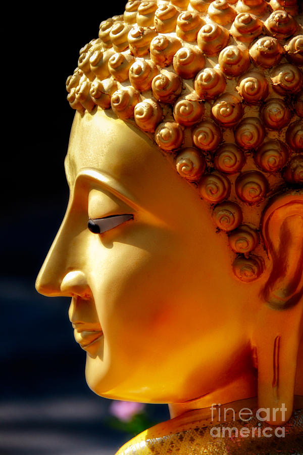 Golden Buddha Photograph by Adrian Evans