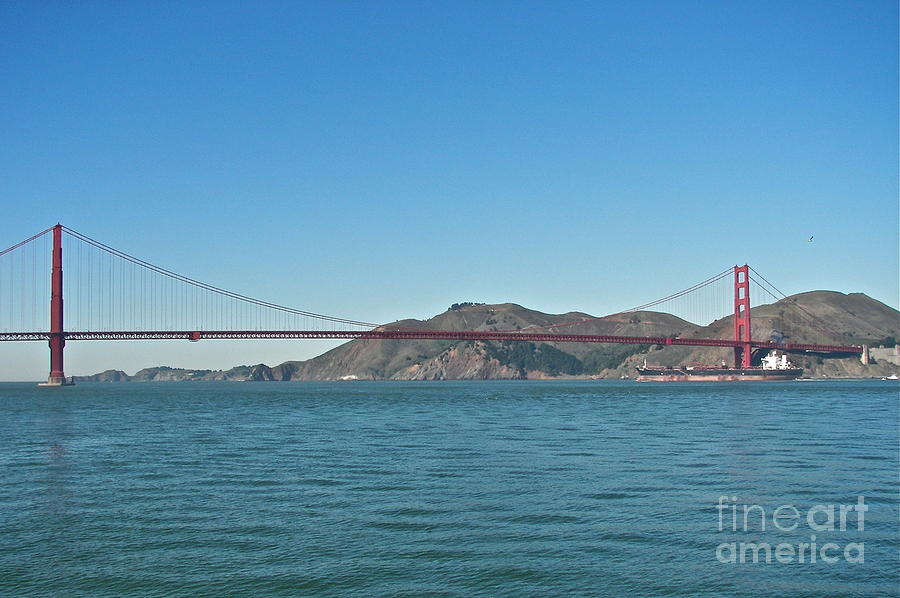 Golden Gate Bridge #2 Photograph by Carol  Bradley