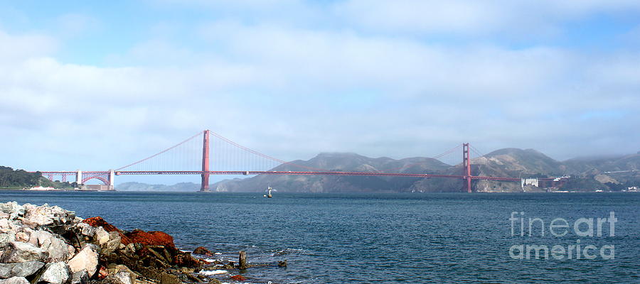 Golden Gate #2 Photograph by Henrik Lehnerer