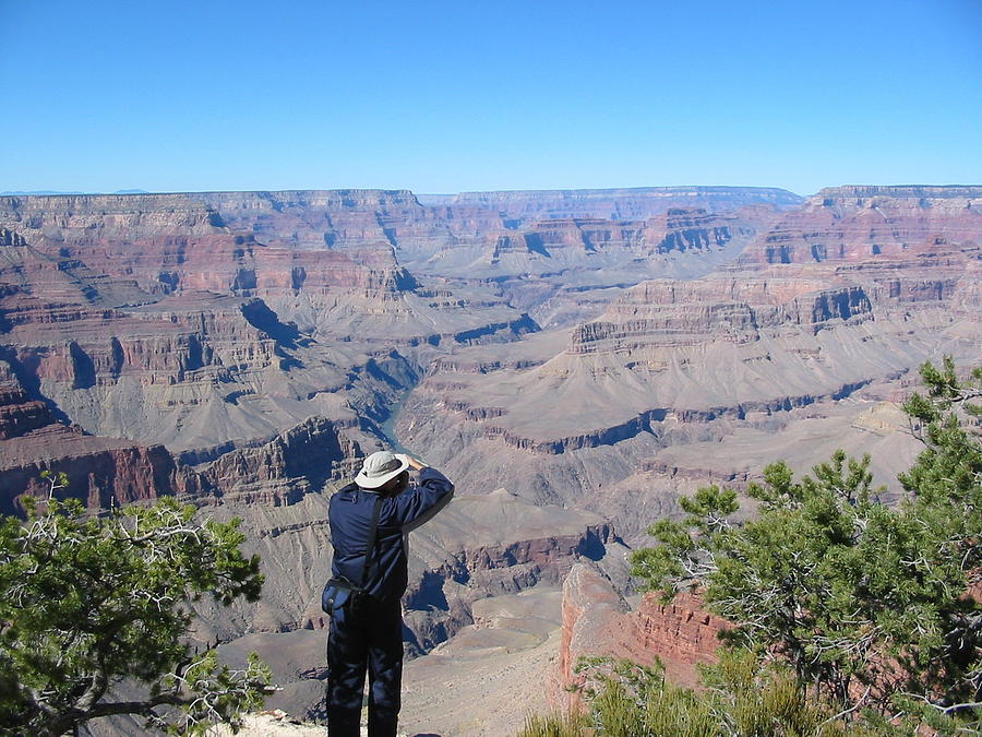 Grand Canyon #3 Photograph by Mark Norman