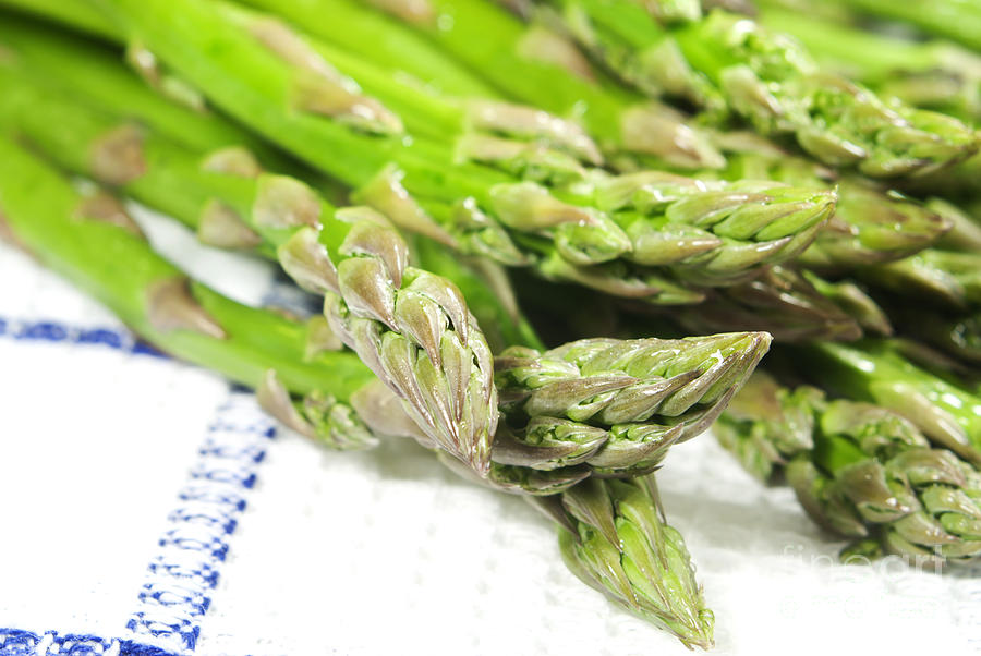 Asparagus Photograph - Green asparagus #2 by Blink Images