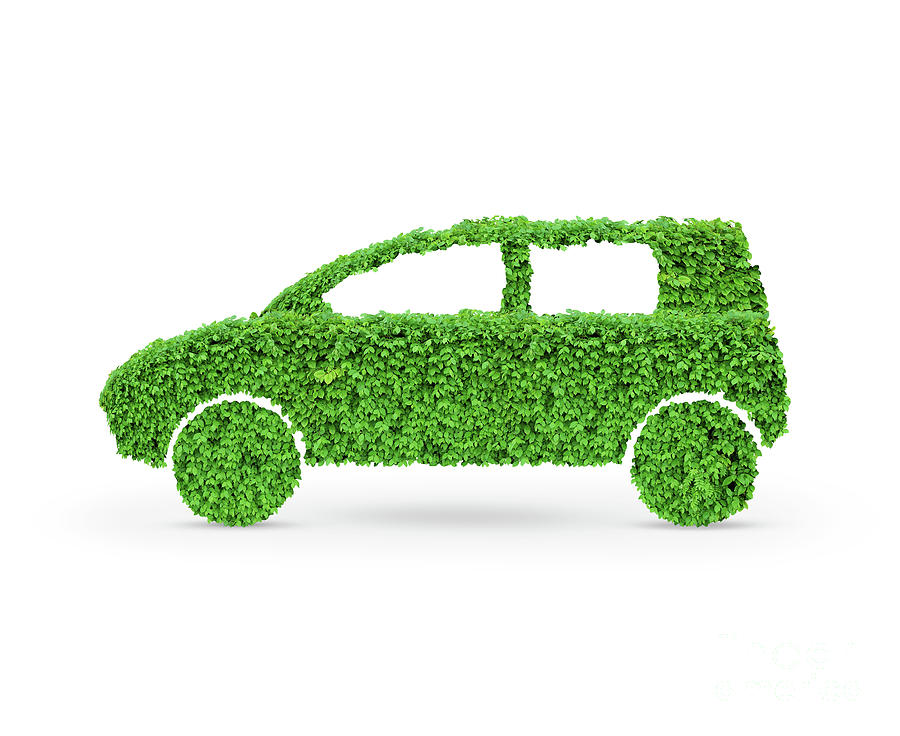 Nature Photograph - Green Car #2 by Maxim Images Exquisite Prints