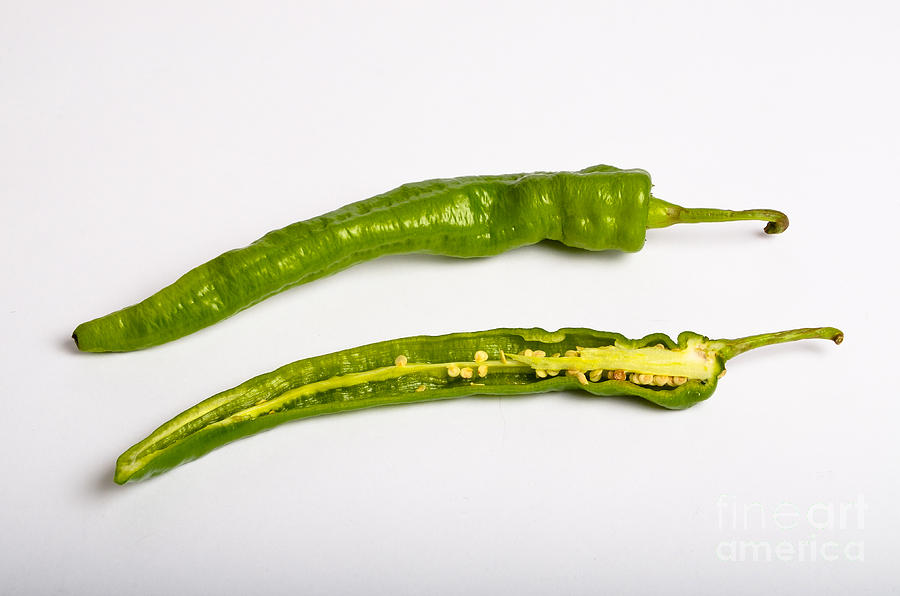 Green Chili Pepper #2 Photograph by Photo Researchers, Inc.