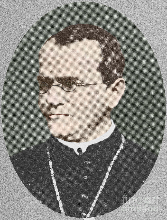 Gregor Mendel, Father Of Genetics #2 Photograph by Science Source