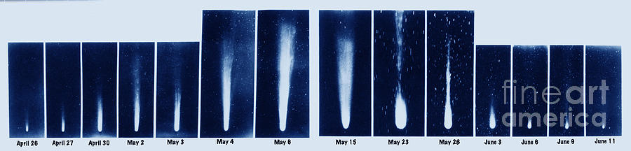 Halleys Comet, 1910 #2 Photograph by Science Source