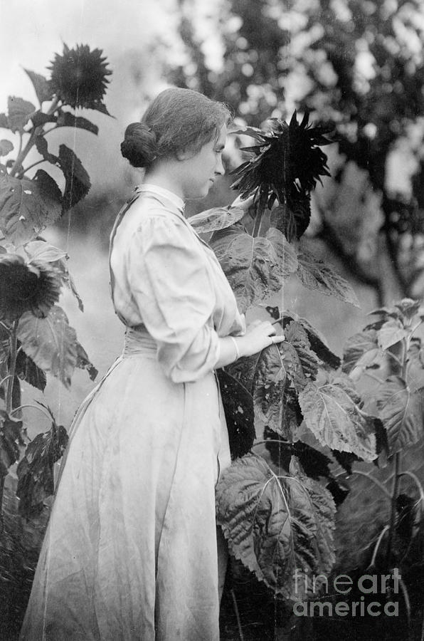 Helen Adams Keller Photograph by Granger - Fine Art America