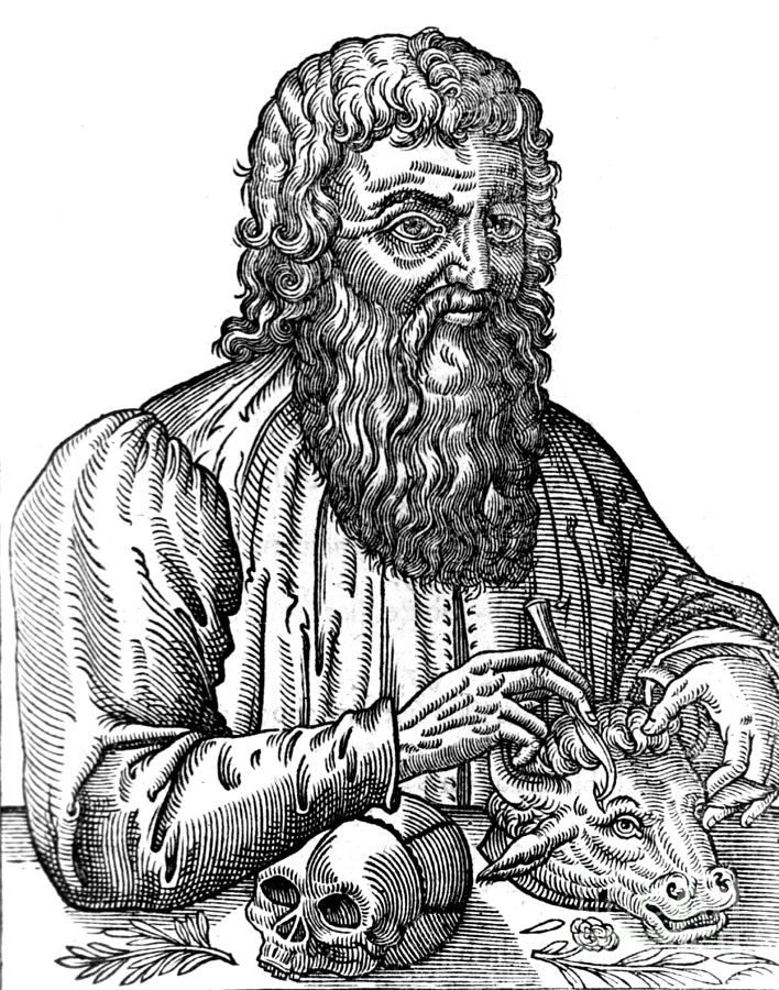 Greek Photograph - Hippocrates, Greek Physician, Father #2 by Science Source