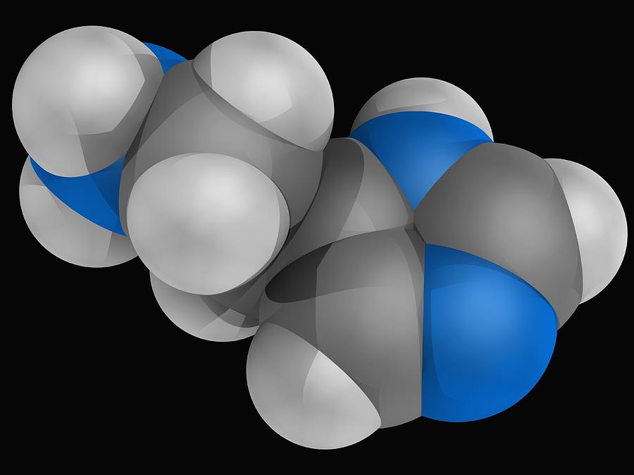Histamine Molecule #2 Digital Art by Laguna Design