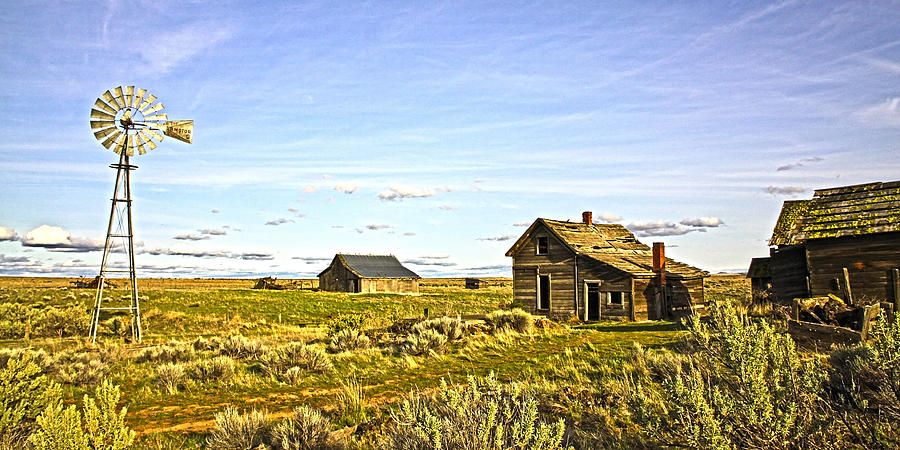 Home on the Range #2 Photograph by Steve McKinzie
