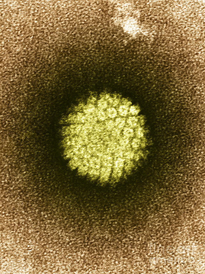 Tem Photograph - Human Papilloma Virus Hpv #2 by Science Source