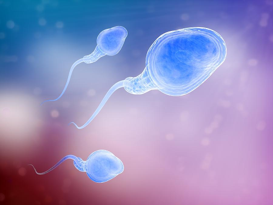 Human Sperm Cells, Artwork #2 Digital Art by Andrzej Wojcicki