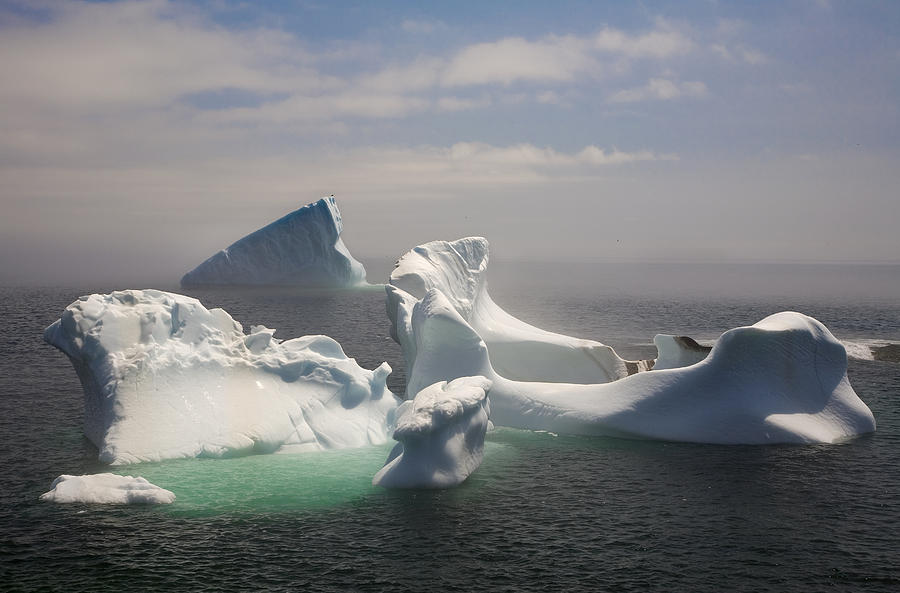 Icebergs In Fog, Quirpon Island Photograph by John Sylvester - Fine Art ...