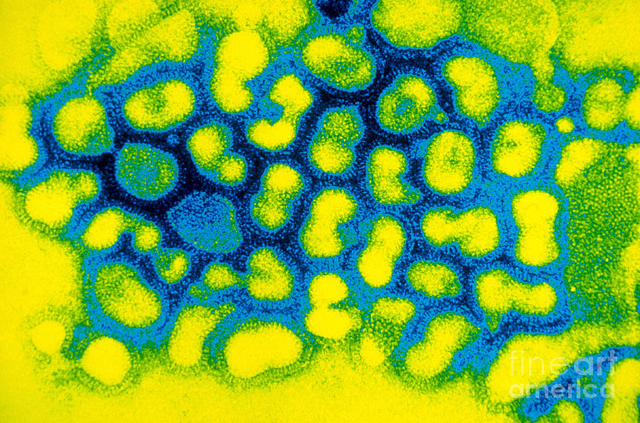 Influenza A Tem #2 Photograph by Science Source