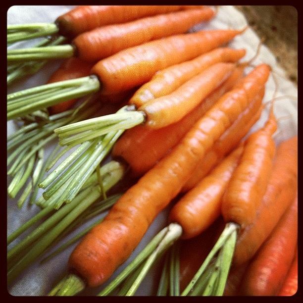 Vegetable Photograph - Instagram Photo #2 by Adina St John
