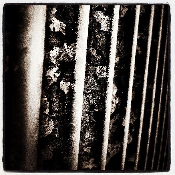 Corrugated Photograph - #instamood #instagood #instagold #igers #2 by Adam Davies