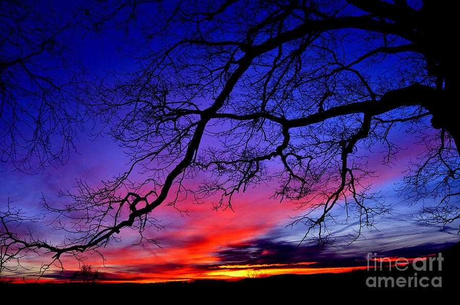 January Sunrise Photograph by Thomas R Fletcher Fine Art America