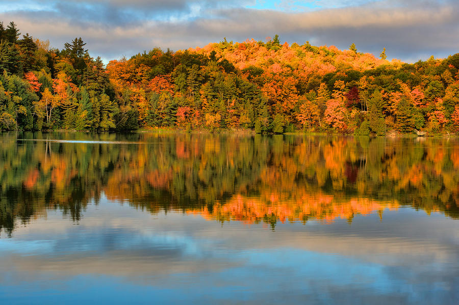 Lake reflections #2 Photograph by Prince Andre Faubert