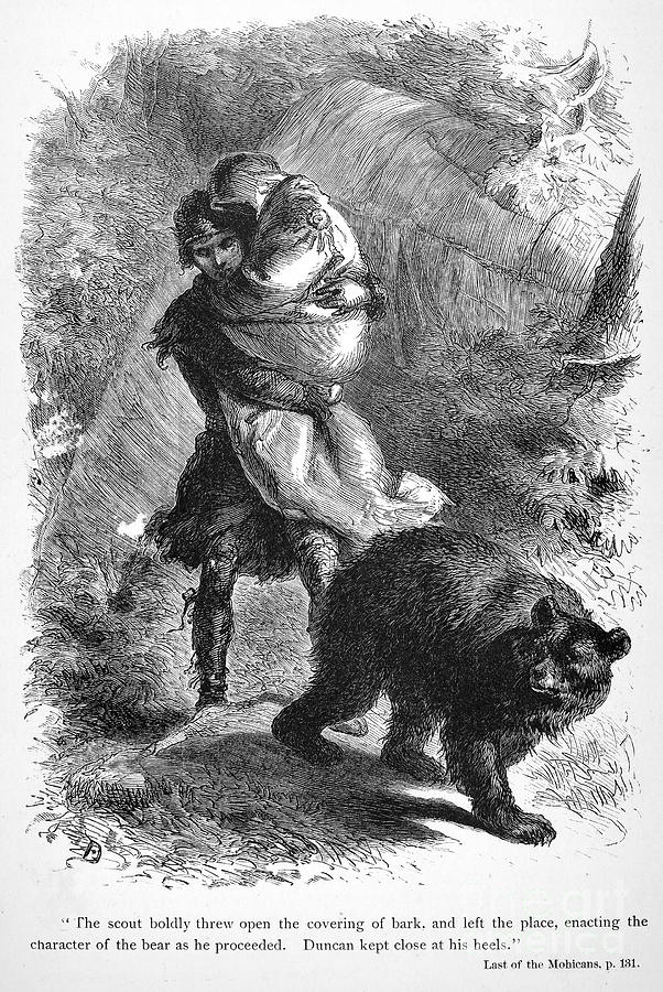 Bear Photograph - Last Of The Mohicans, 1872 #2 by Granger