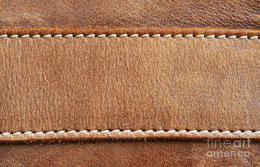 Abstract Photograph - Leather with stitching #2 by Blink Images