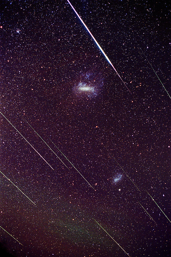 Leonid Meteors #2 Photograph by Dr Fred Espenak
